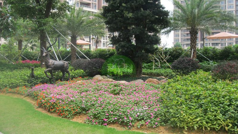 绿化竣工图审查要点：规范流程与质量把控