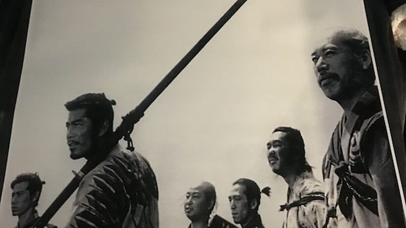 边坡绿化挂网喷播哪个效果好