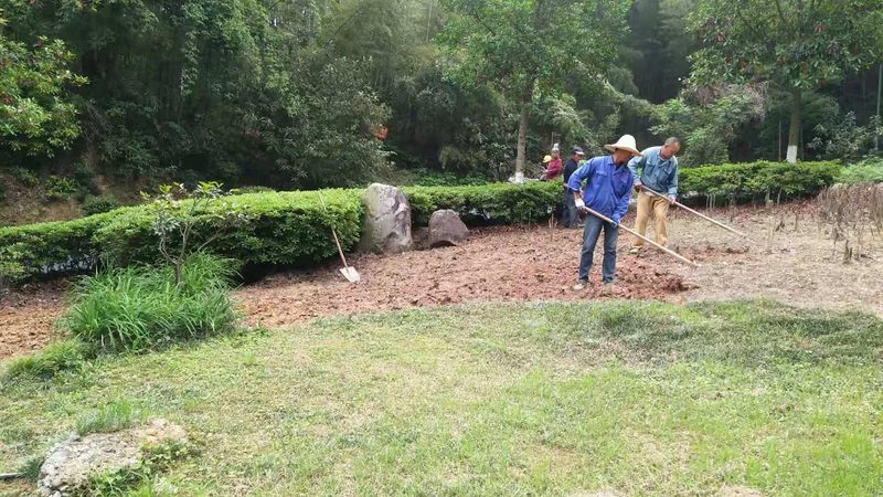 北方道路绿化带常用灌木品种