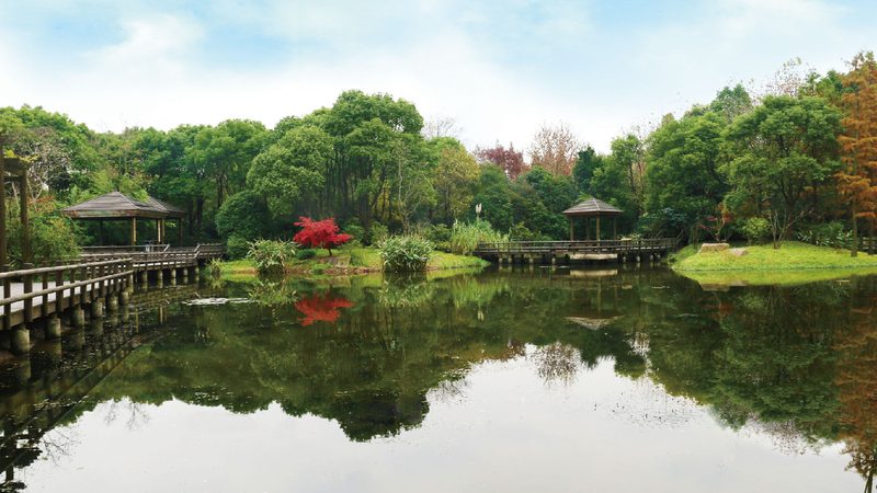 养护药剂选型关键，揭秘园林绿化药剂型号背后的逻辑**