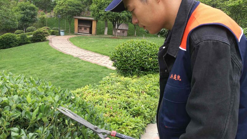 园林工程预算与决算：两阶段成本管理的差异解析