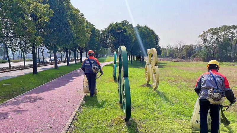 园林绿化的乔木树种选择指南：如何根据环境与需求挑选**