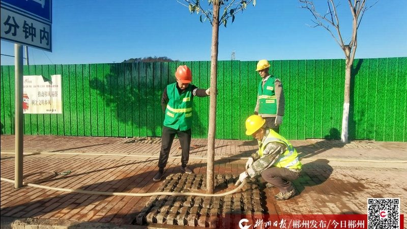 别墅园林设计尺寸公司：打造私人绿洲的尺寸奥秘