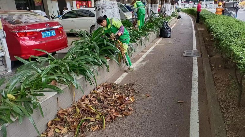 屋顶绿化加盟代理：揭秘十大品牌背后的秘密**