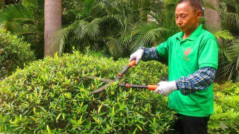 草坪养护加盟代理费用解析：费用构成与影响因素