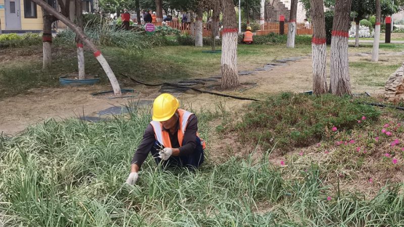 平小庭院设计报价明细：如何精准把控成本与品质**