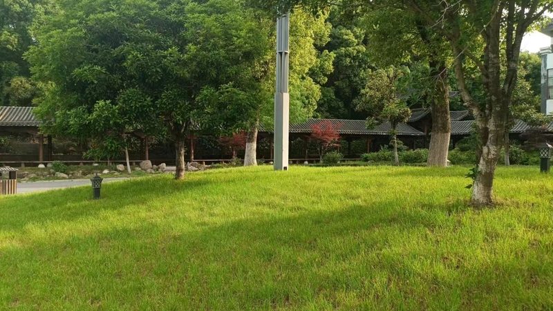 垂直绿化植物墙验收标准规范全解析